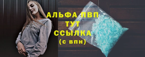 сатива Беломорск