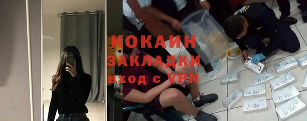 крисы Богданович